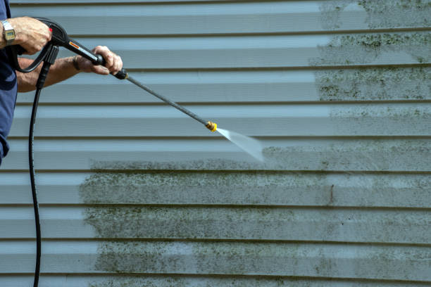 Deck Cleaning Services in Edenton, NC