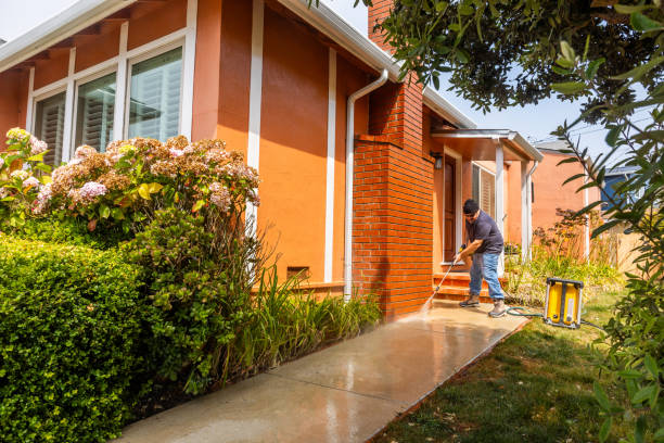  Edenton, NC Pressure Washing Pros